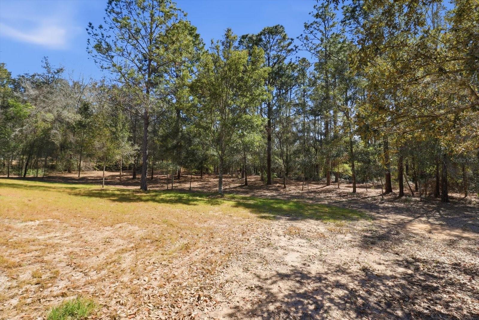 700 E STRATFORD RD, LECANTO, FL, 34461