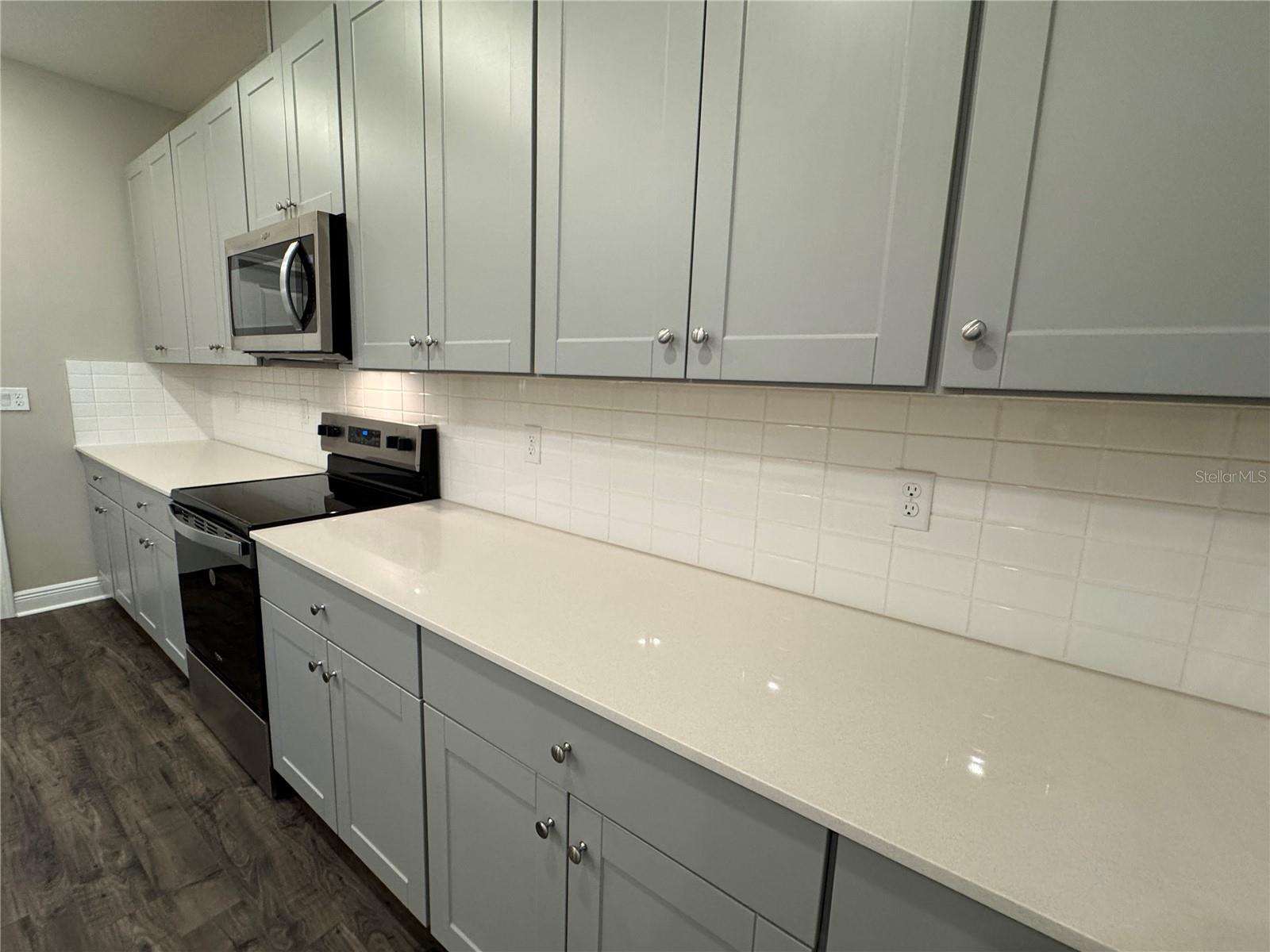16434 HAMLIN HILLS RD, WINTER GARDEN, FL, 34787