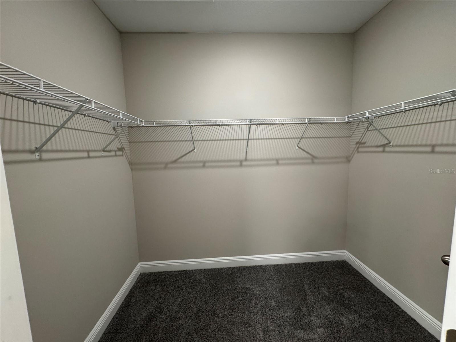 16434 HAMLIN HILLS RD, WINTER GARDEN, FL, 34787