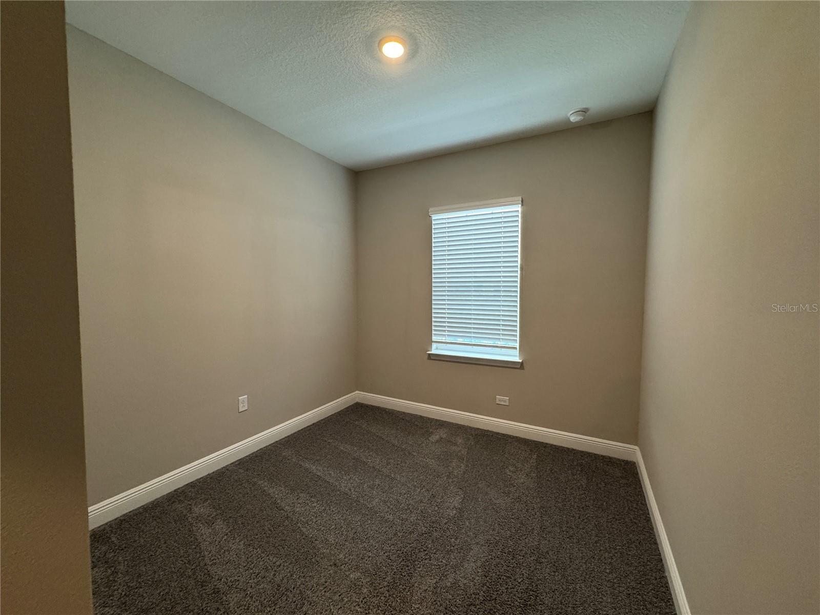 16434 HAMLIN HILLS RD, WINTER GARDEN, FL, 34787