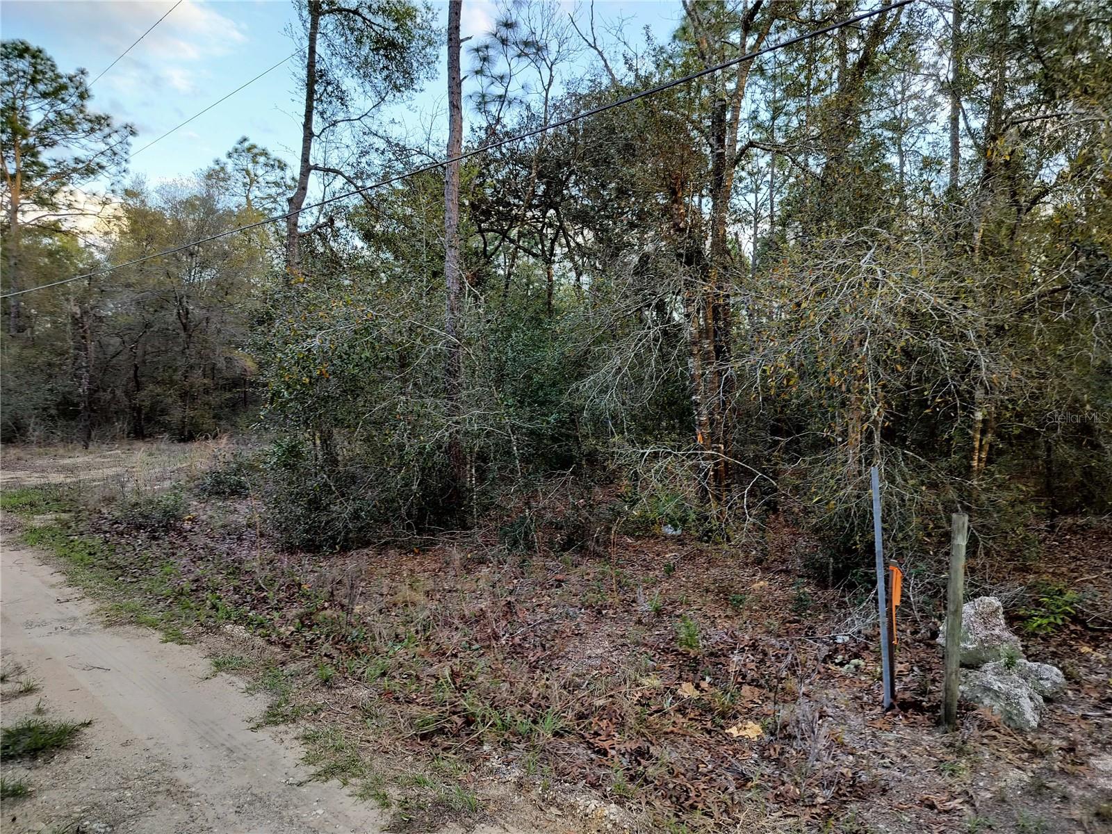 1108 E VAN GOGH CT, HERNANDO, FL, 34442