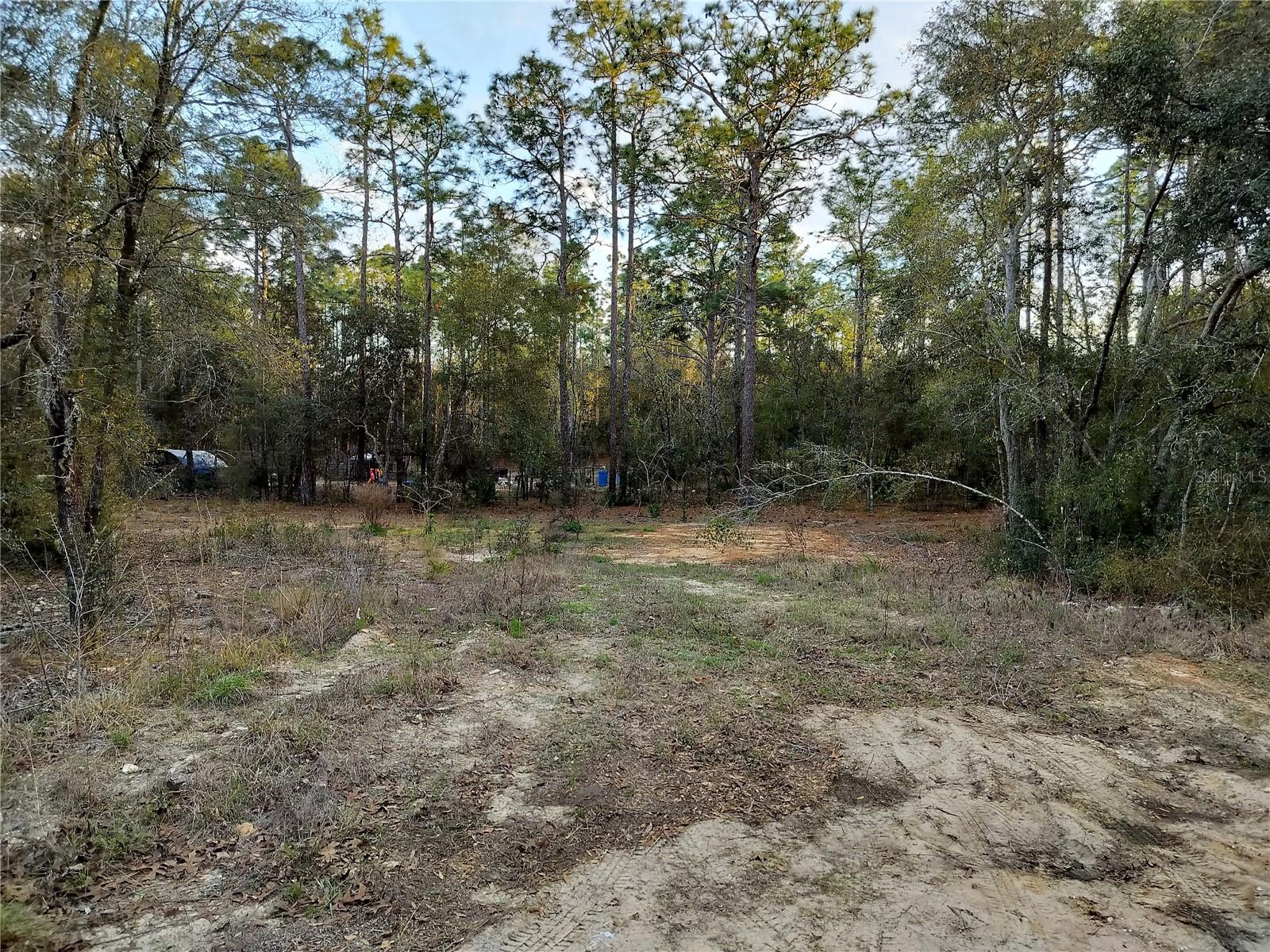 1108 E VAN GOGH CT, HERNANDO, FL, 34442