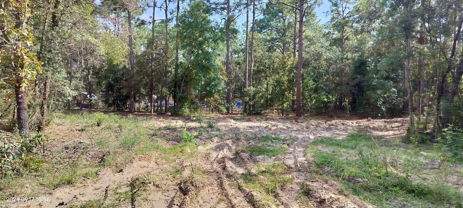 1108 E VAN GOGH CT, HERNANDO, FL, 34442
