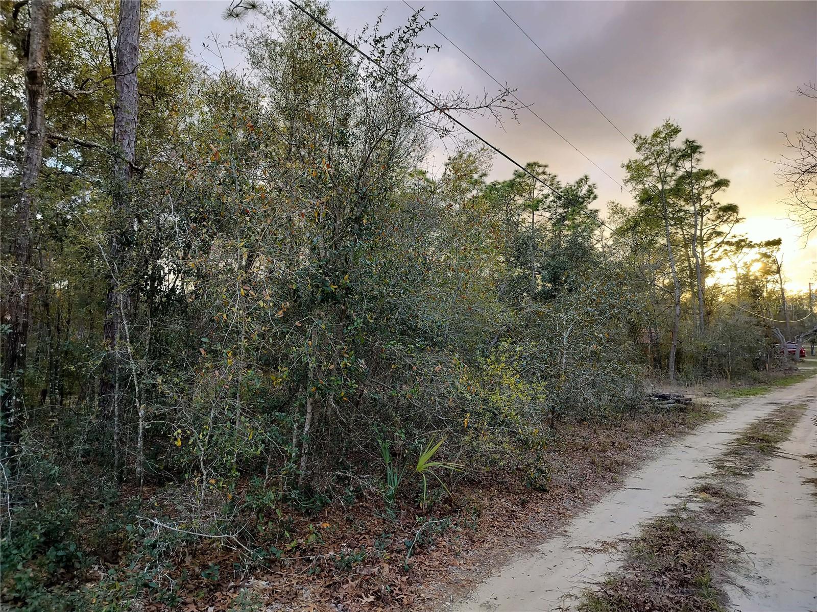 1108 E VAN GOGH CT, HERNANDO, FL, 34442