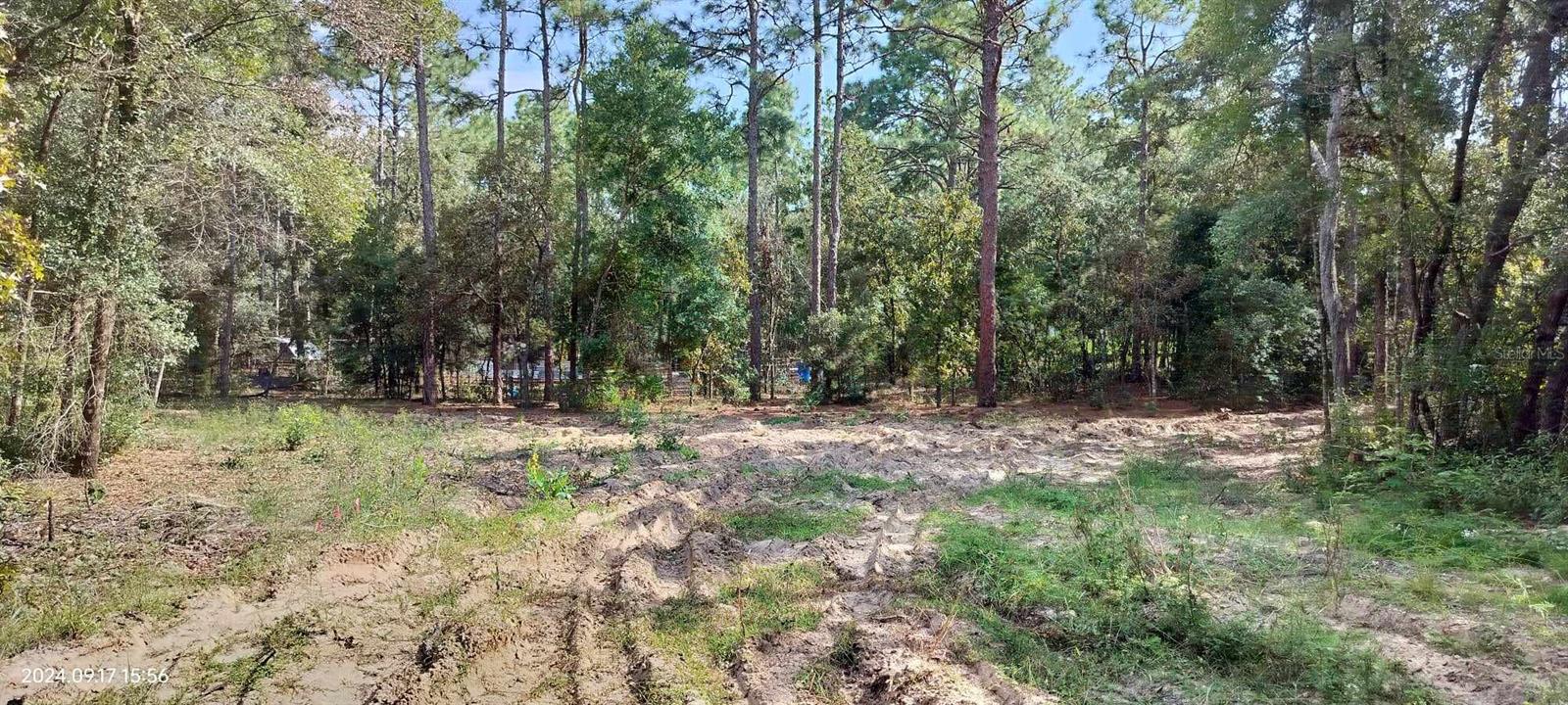 1108 E VAN GOGH CT, HERNANDO, FL, 34442