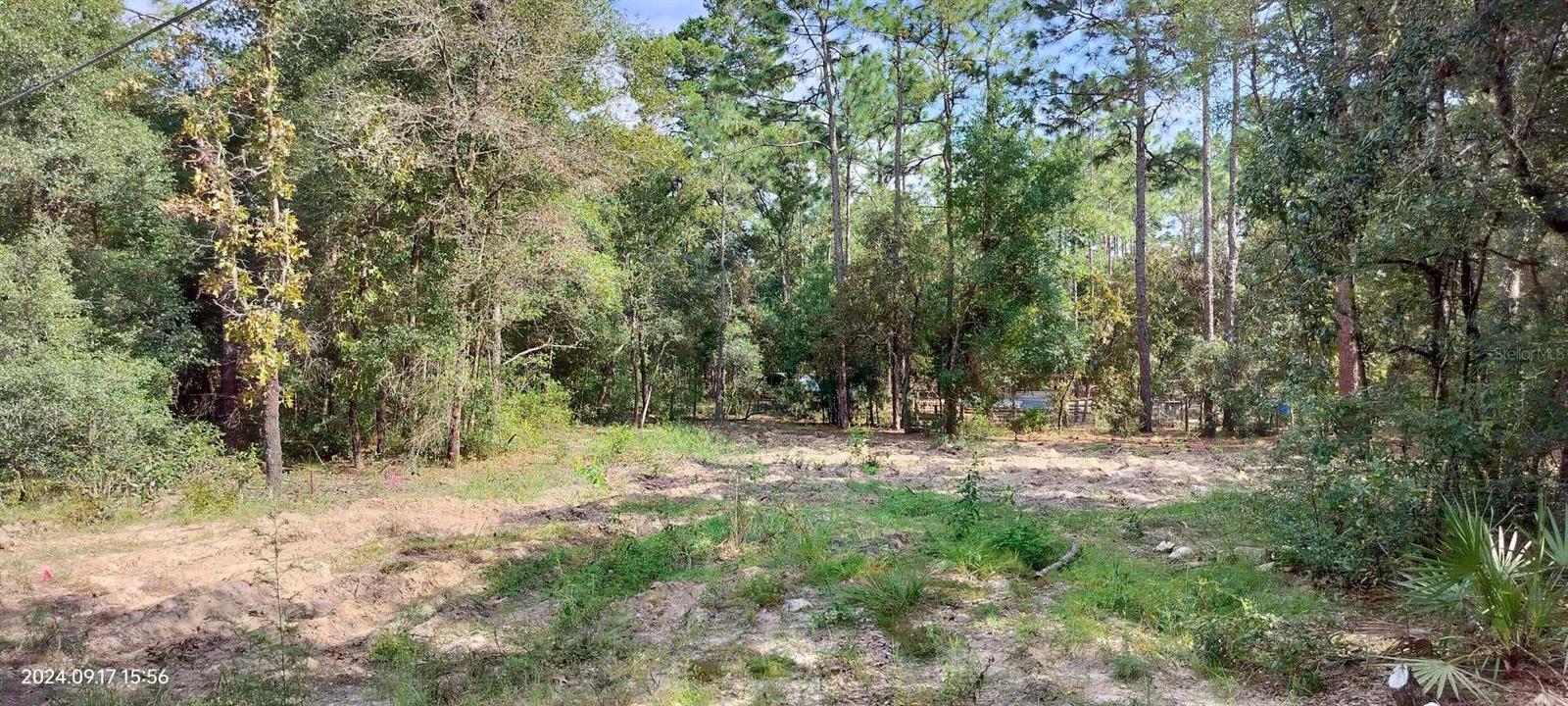 1108 E VAN GOGH CT, HERNANDO, FL, 34442
