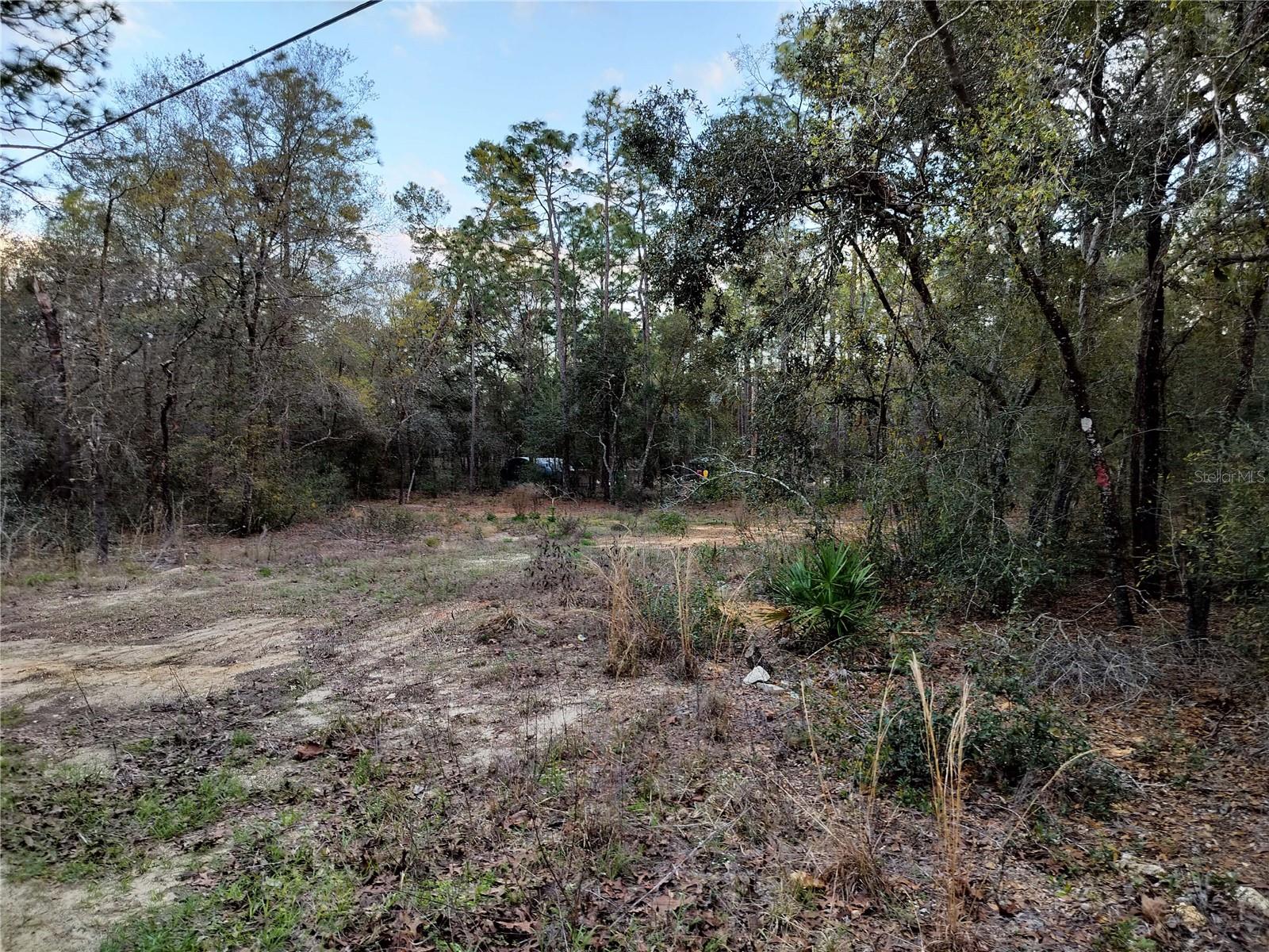 1108 E VAN GOGH CT, HERNANDO, FL, 34442
