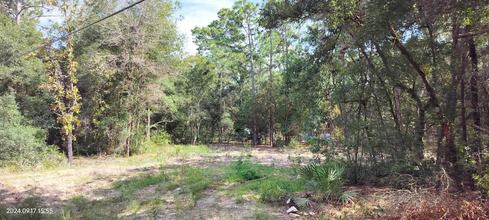 1108 E VAN GOGH CT, HERNANDO, FL, 34442