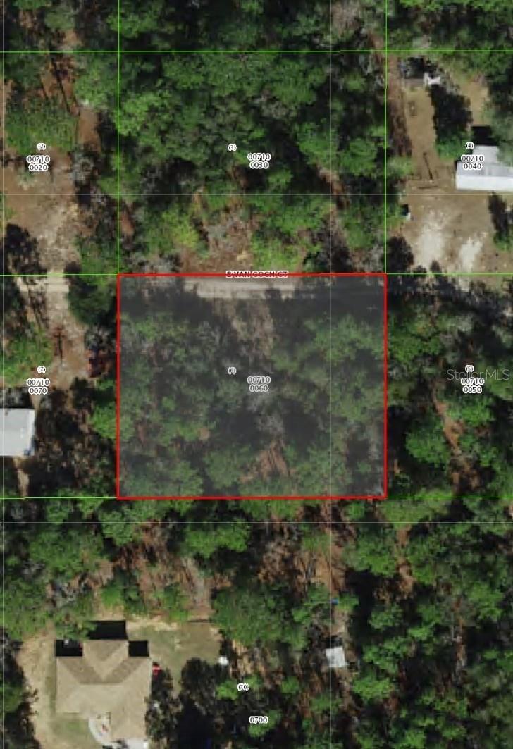 1108 E VAN GOGH CT, HERNANDO, FL, 34442