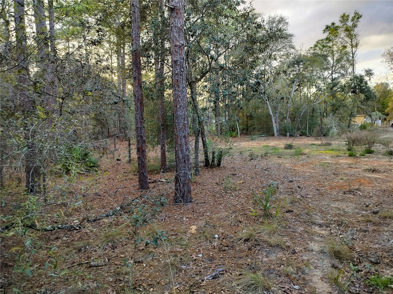 1108 E VAN GOGH CT, HERNANDO, FL, 34442