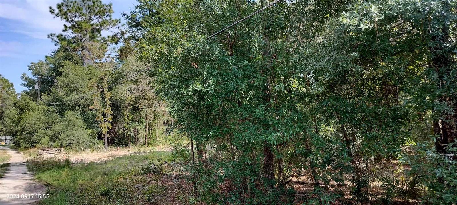 1108 E VAN GOGH CT, HERNANDO, FL, 34442