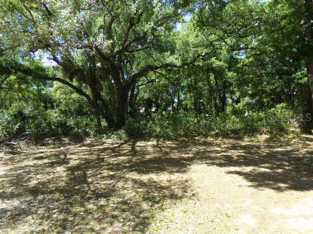 3901 CHURCH ARBOR AVE #B6, TAMPA, FL, 33614