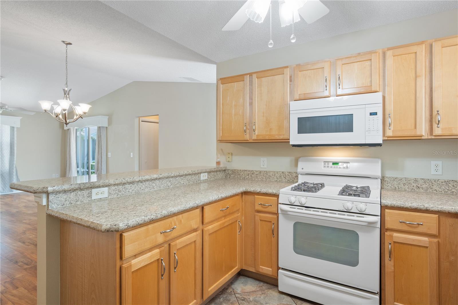 2461 DUE WEST DR, THE VILLAGES, FL, 32162