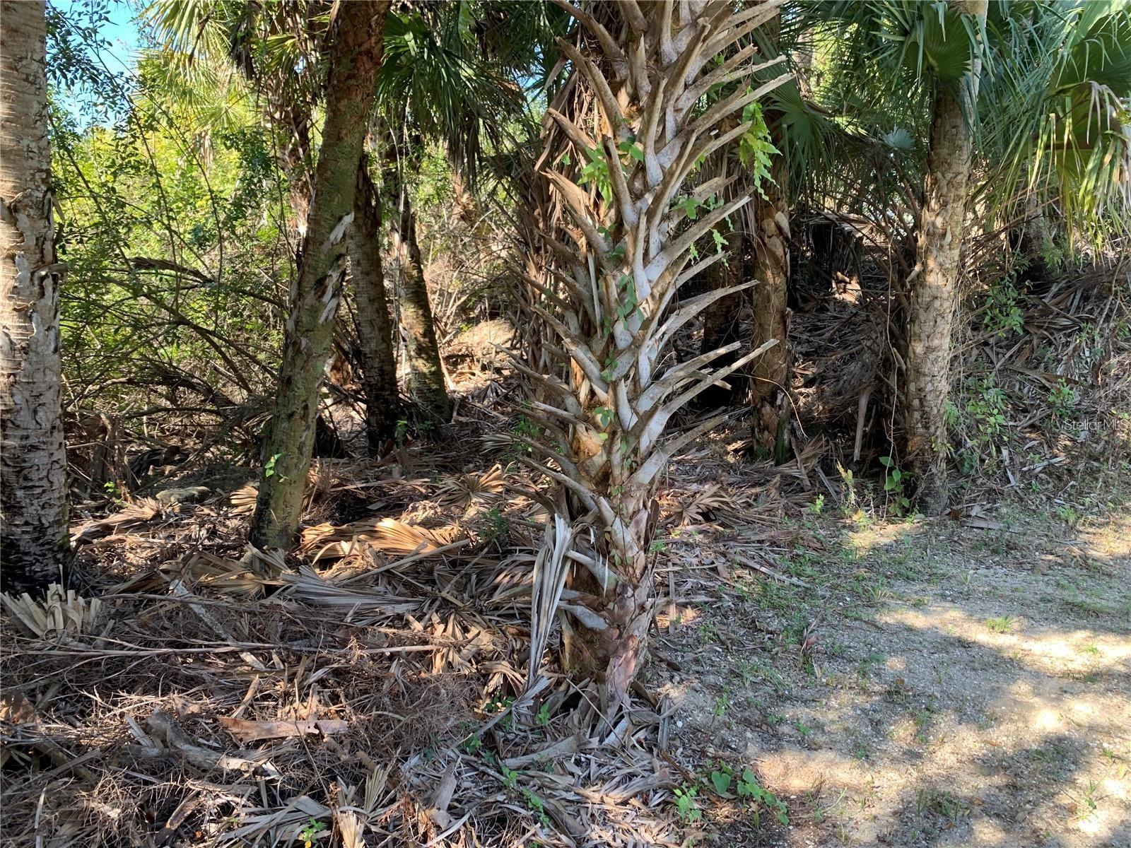 1375 CLEARVIEW DR, PORT CHARLOTTE, FL, 33953