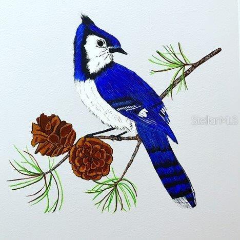 204 RED MAPLE DR, PALM HARBOR, FL, 34684