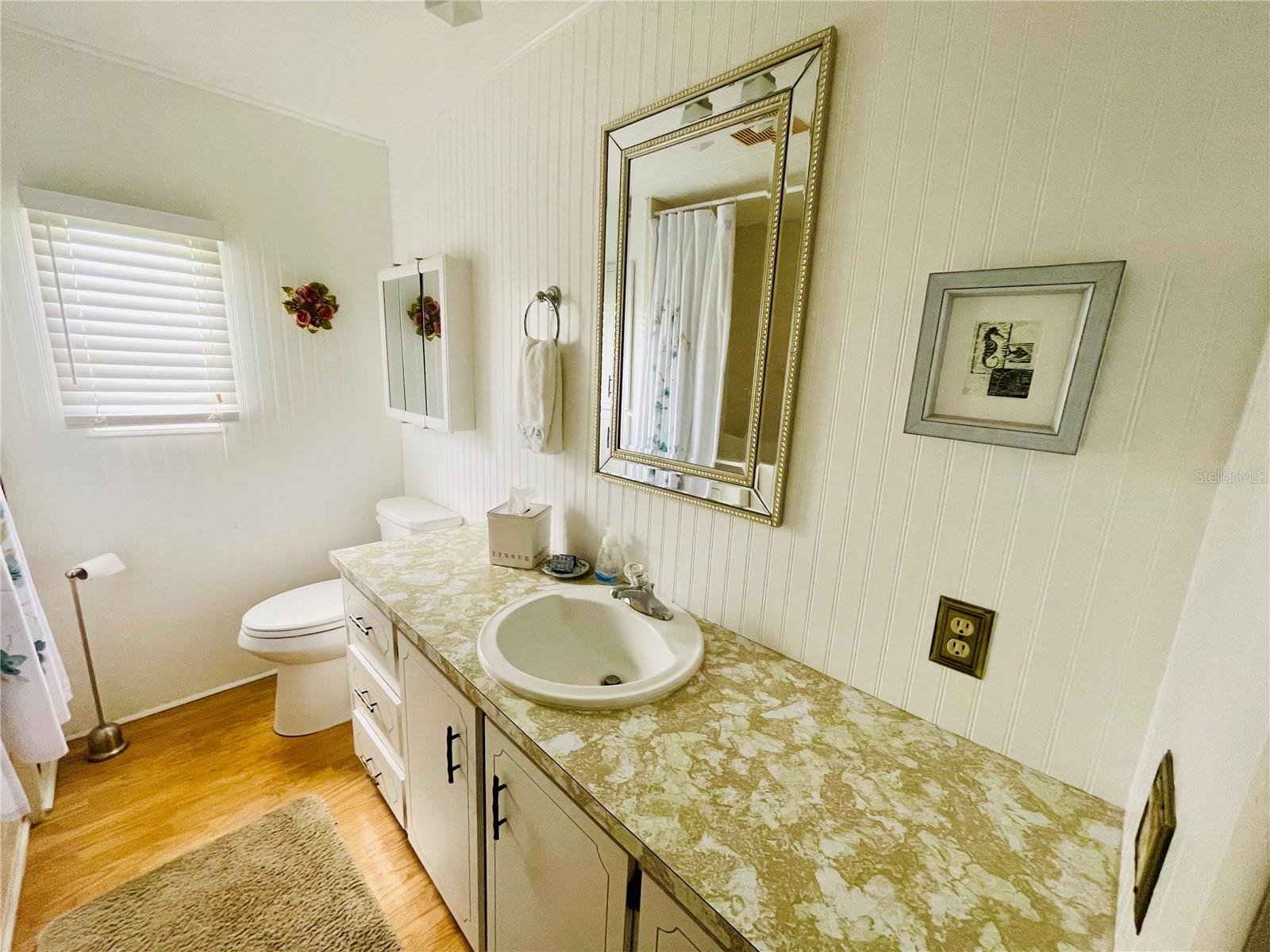 204 RED MAPLE DR, PALM HARBOR, FL, 34684