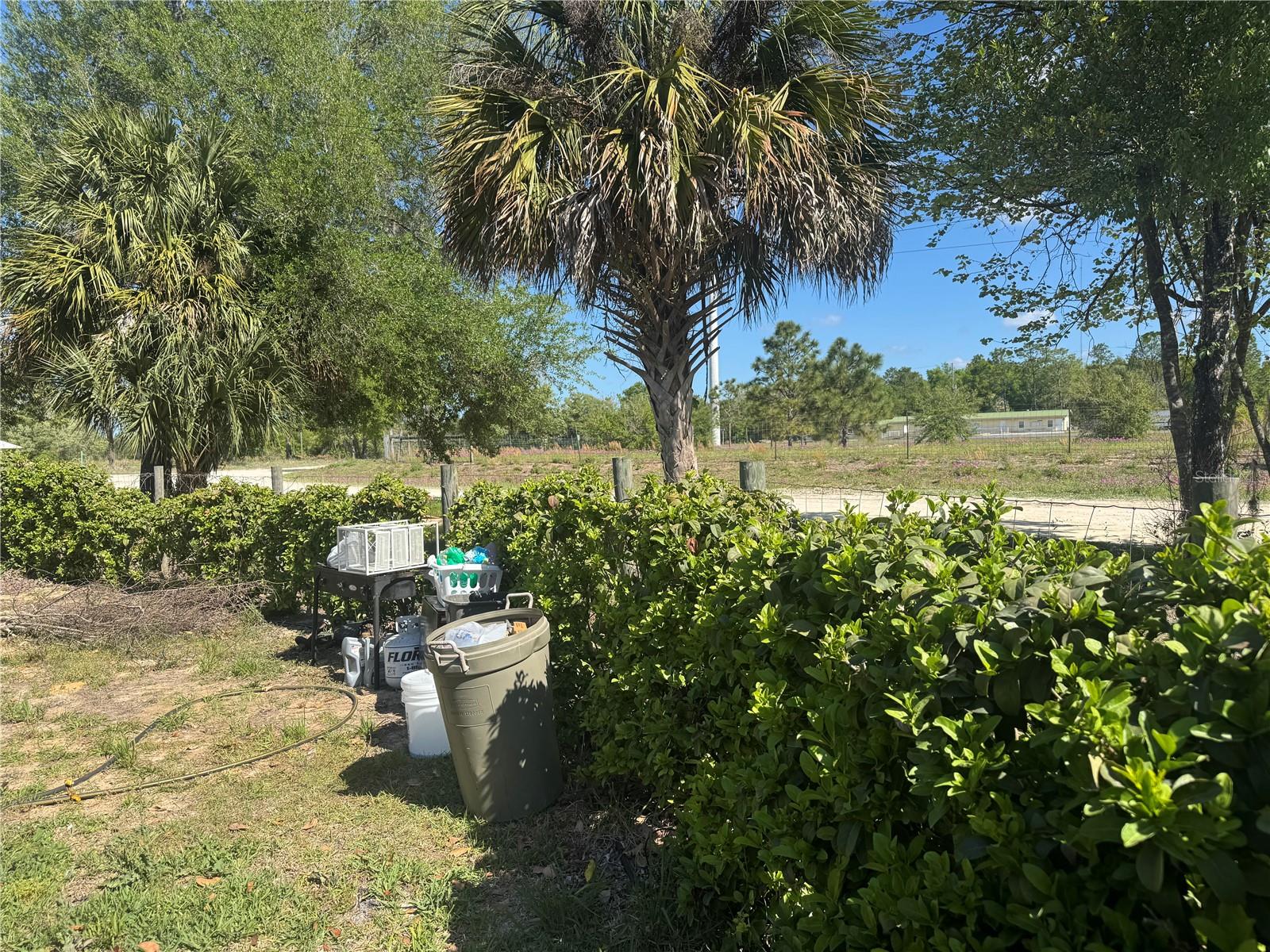 5390 NE 134TH AVE, WILLISTON, FL, 32696
