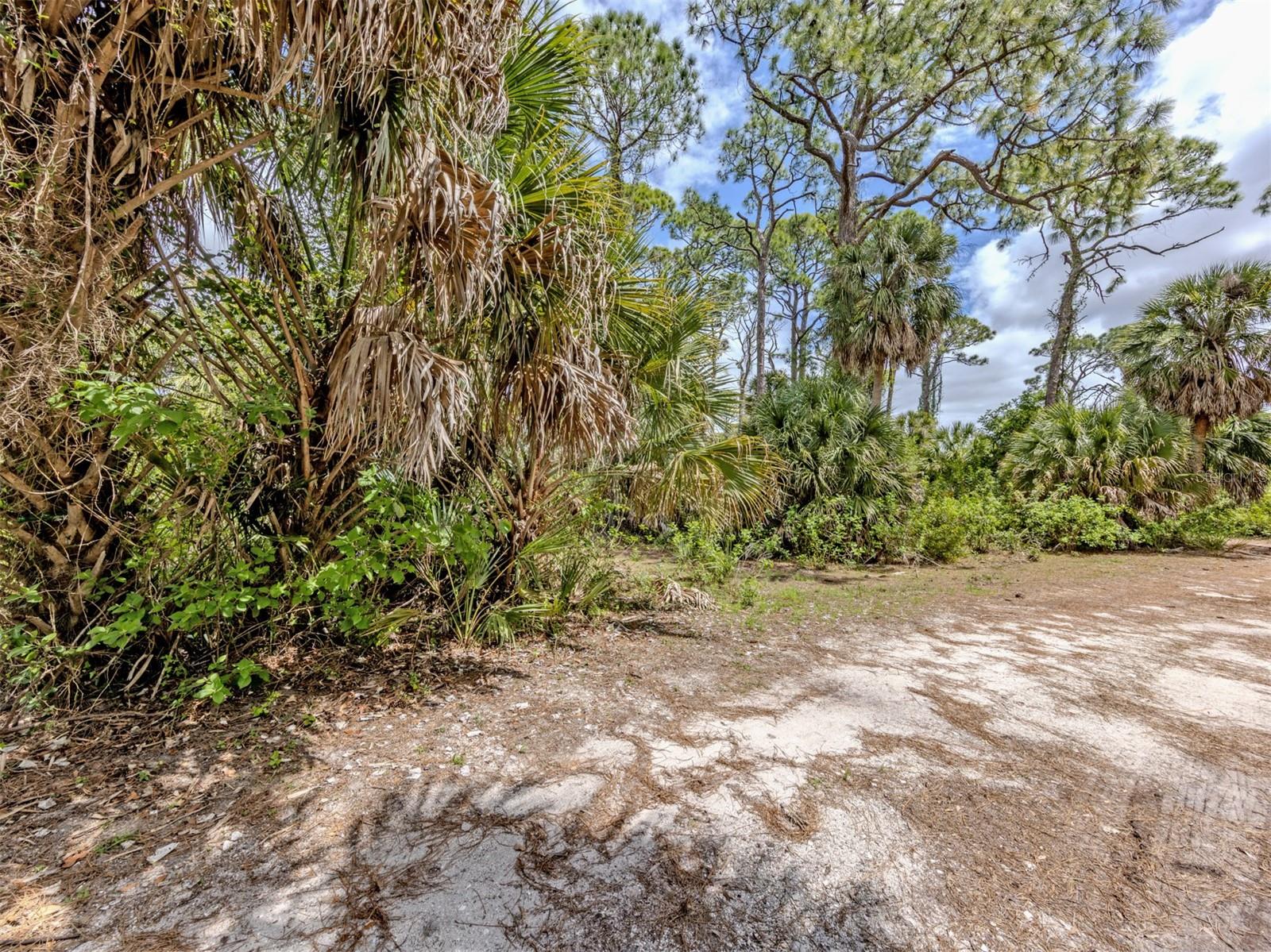 400 S HAVANA RD, VENICE, FL, 34292