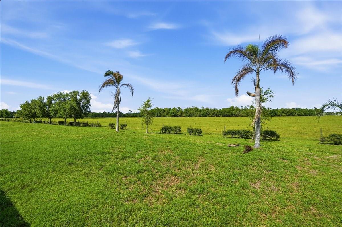 15769 HIGH BELL PL, BRADENTON, FL, 34212