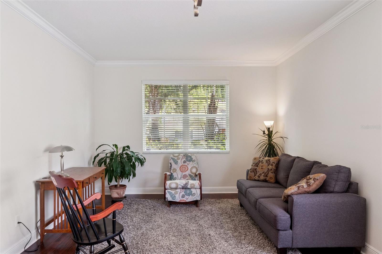 5271 RISHLEY RUN WAY, MOUNT DORA, FL, 32757