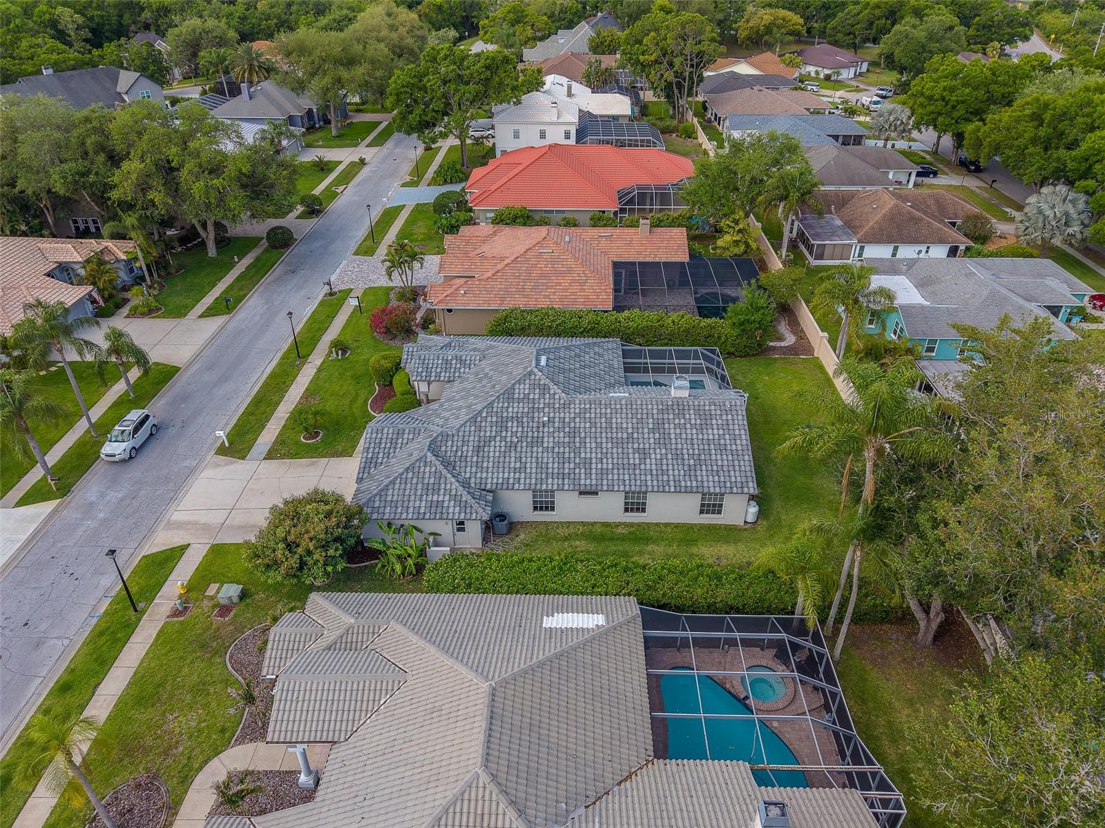 3909 TALAH DR, PALM HARBOR, FL, 34684