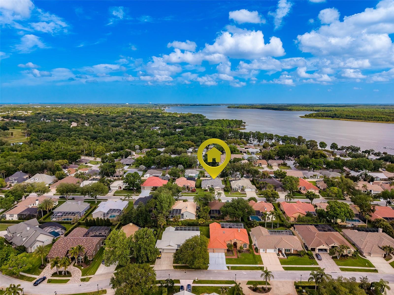 3909 TALAH DR, PALM HARBOR, FL, 34684