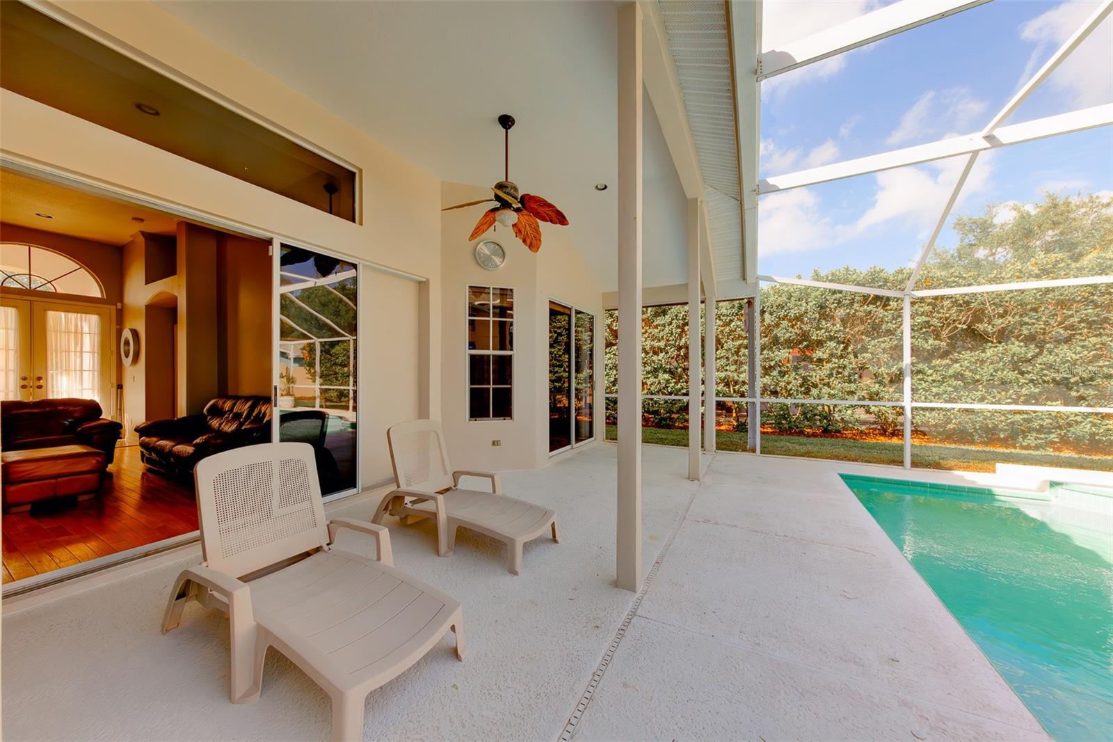 3909 TALAH DR, PALM HARBOR, FL, 34684