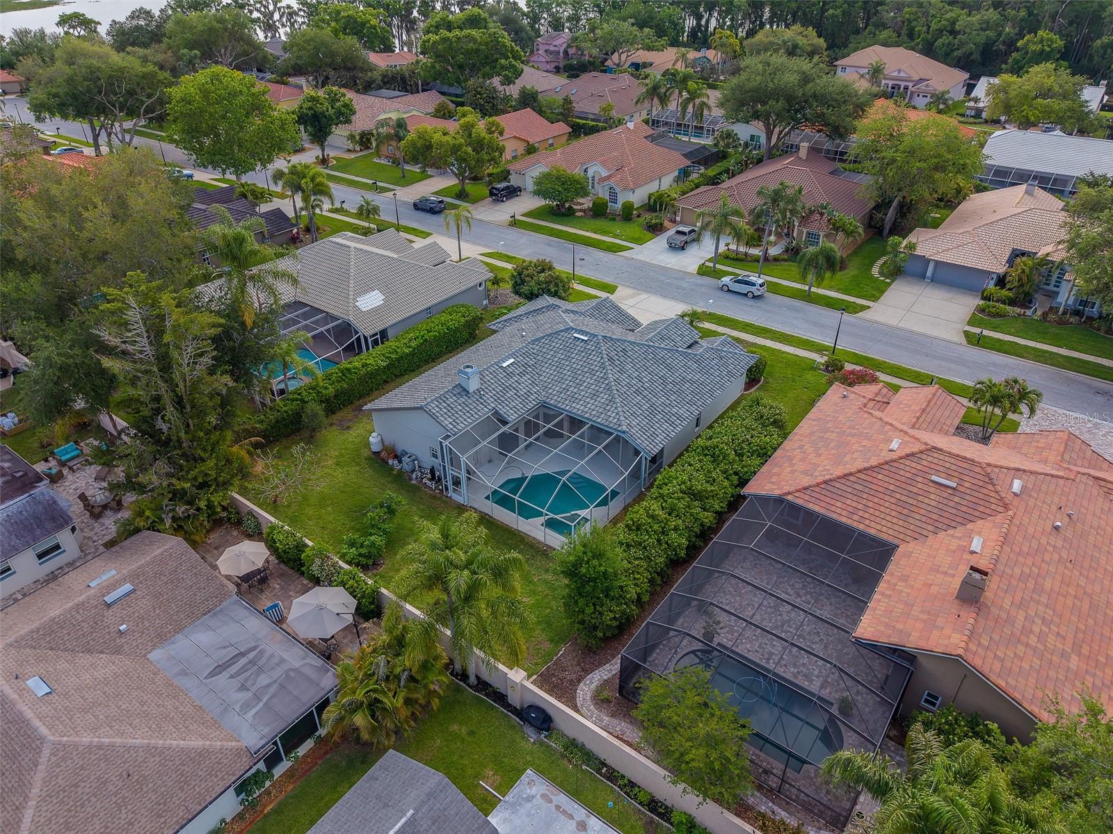 3909 TALAH DR, PALM HARBOR, FL, 34684