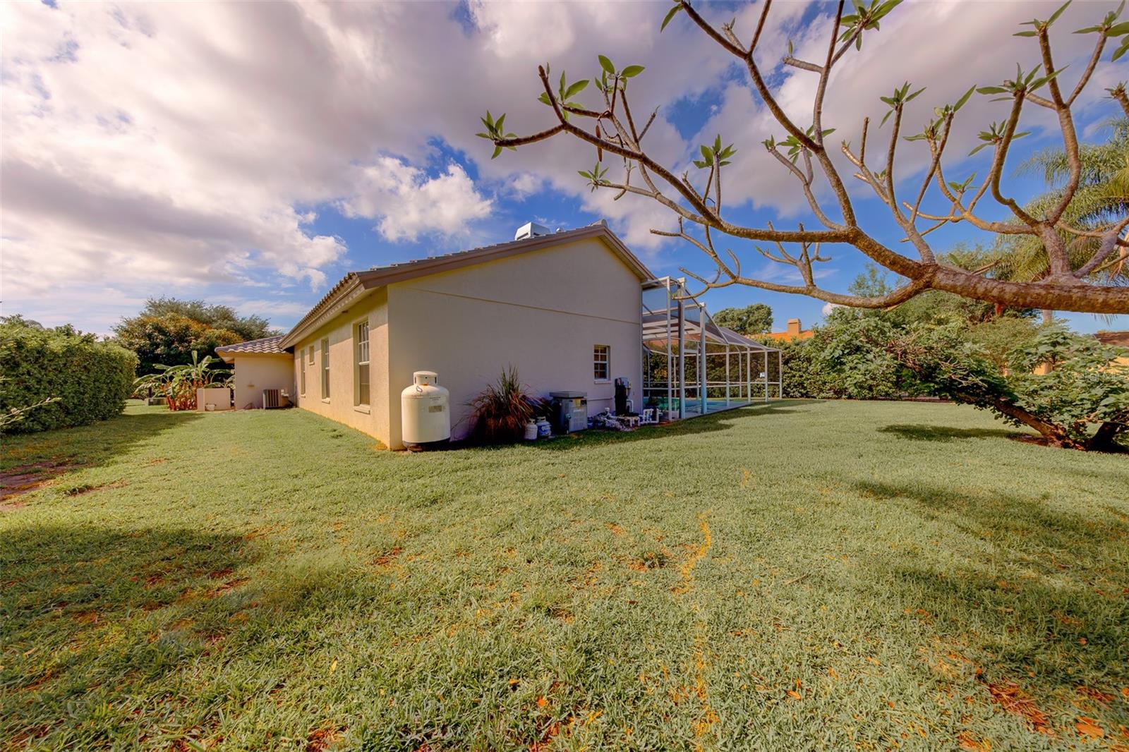 3909 TALAH DR, PALM HARBOR, FL, 34684