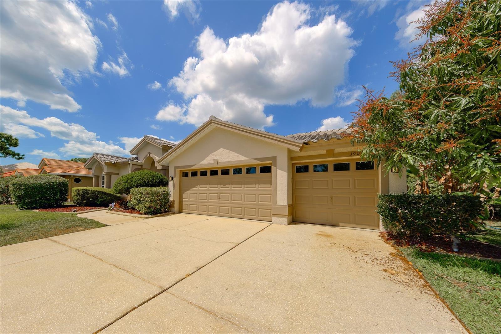 3909 TALAH DR, PALM HARBOR, FL, 34684