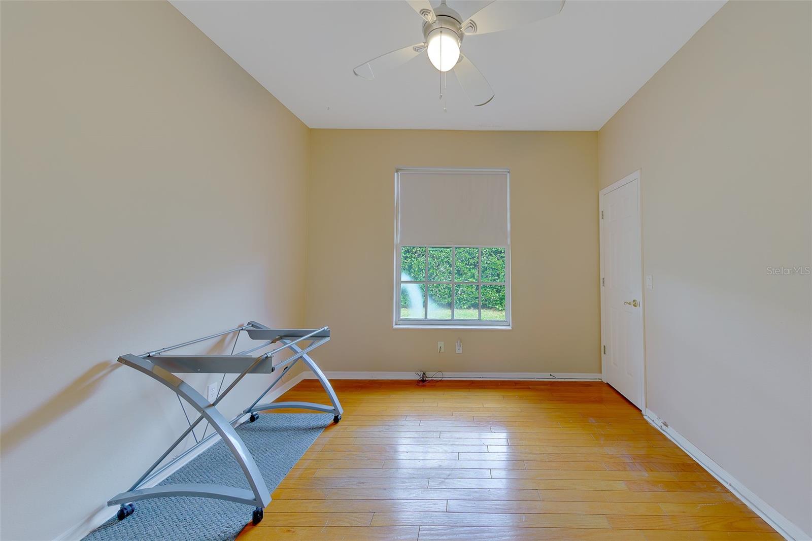 3909 TALAH DR, PALM HARBOR, FL, 34684