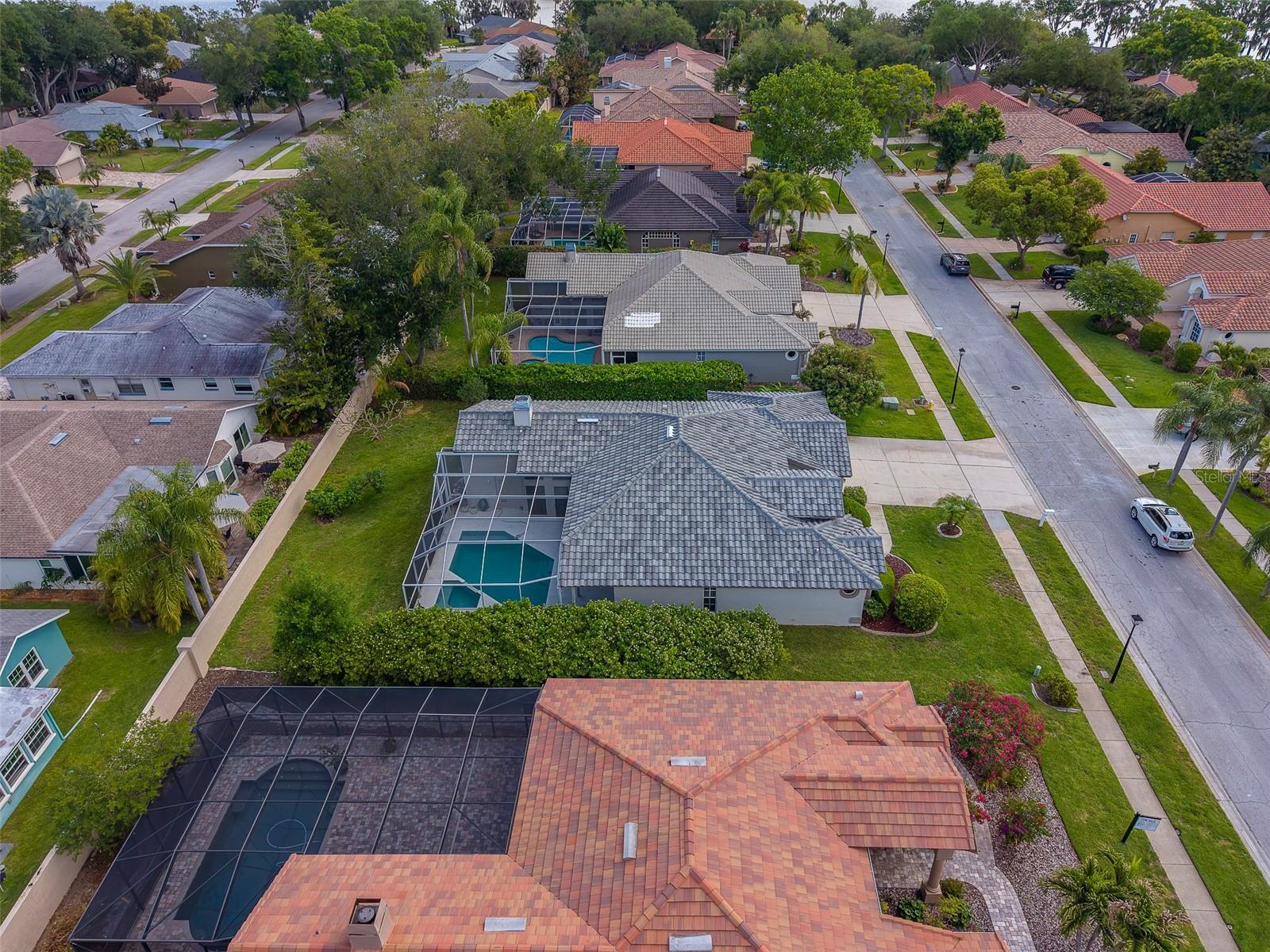 3909 TALAH DR, PALM HARBOR, FL, 34684