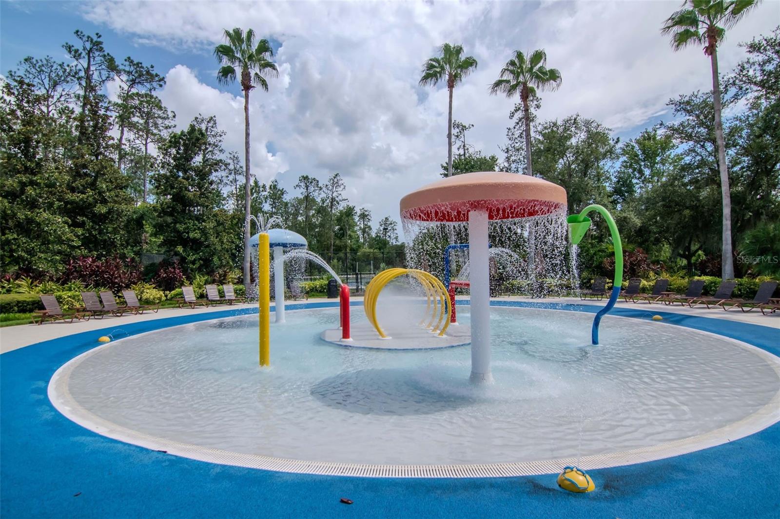 4527 SCARLET LOOP, WESLEY CHAPEL, FL, 33544