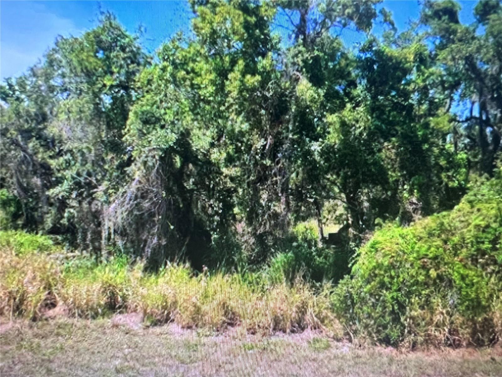 105 JAMISON AVE, LAKE PLACID, FL, 33852