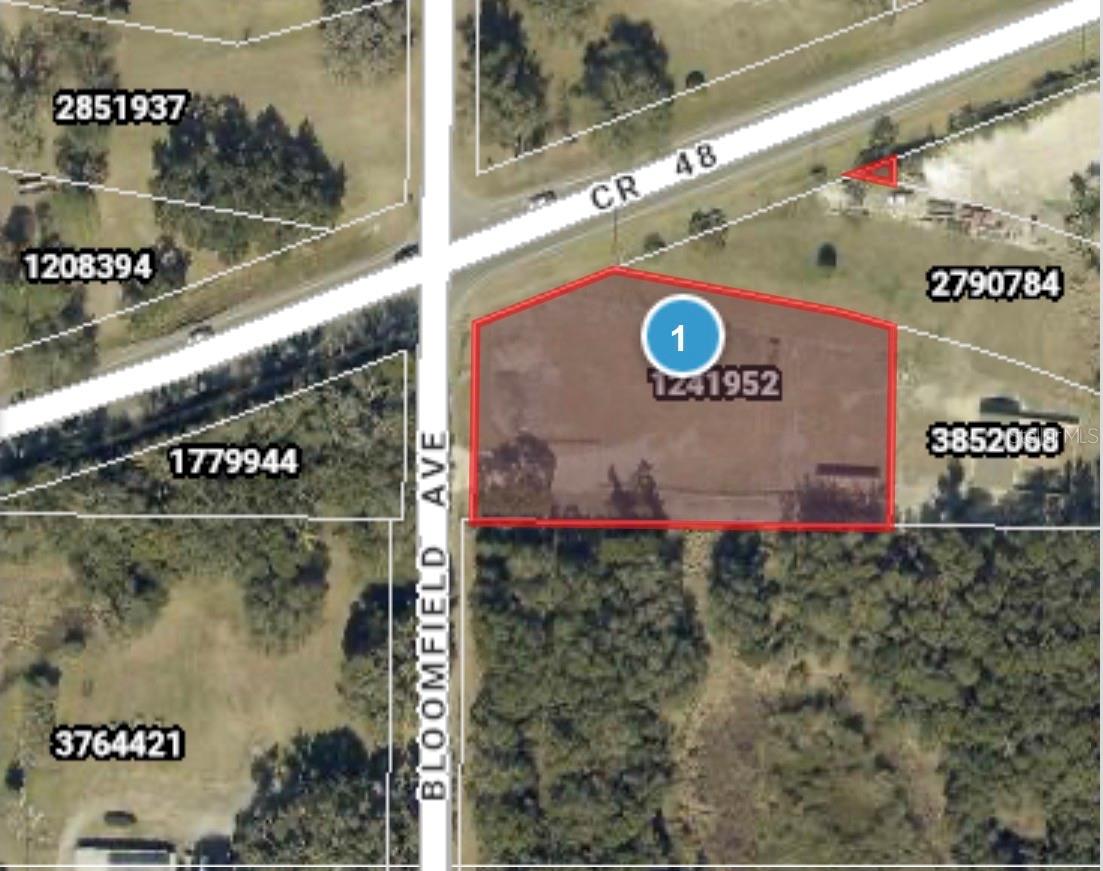 COUNTY ROAD 48, YALAHA, FL, 34797