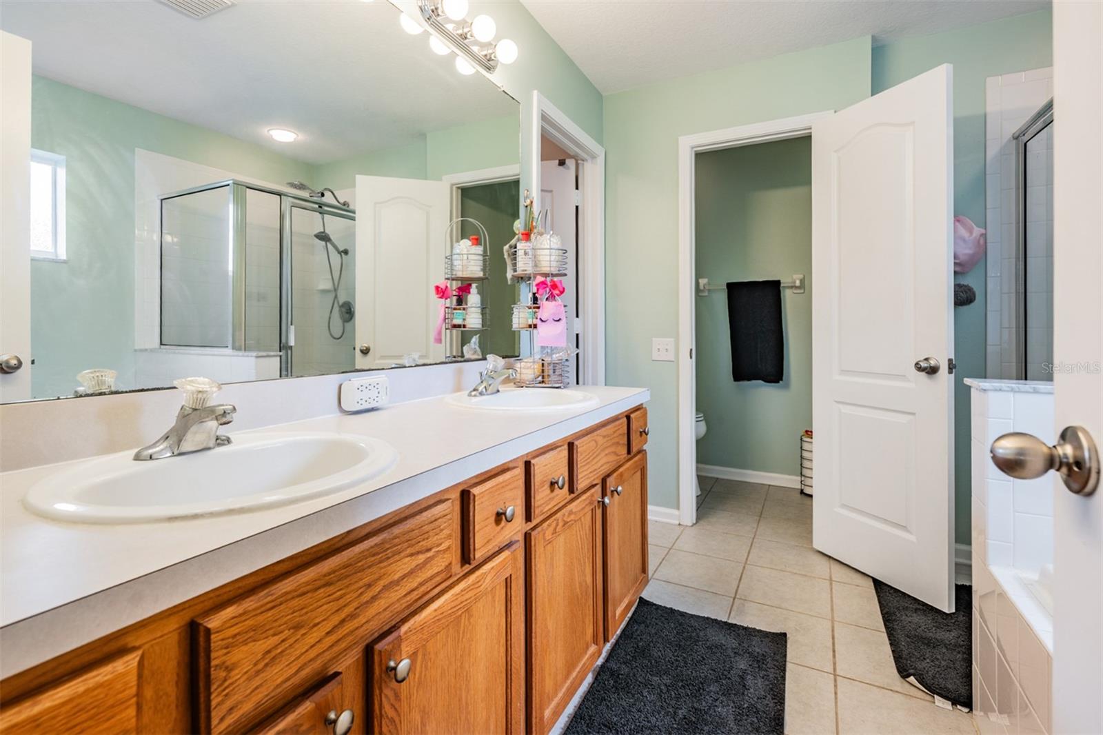 13221 EVENING SUNSET LN, RIVERVIEW, FL, 33579
