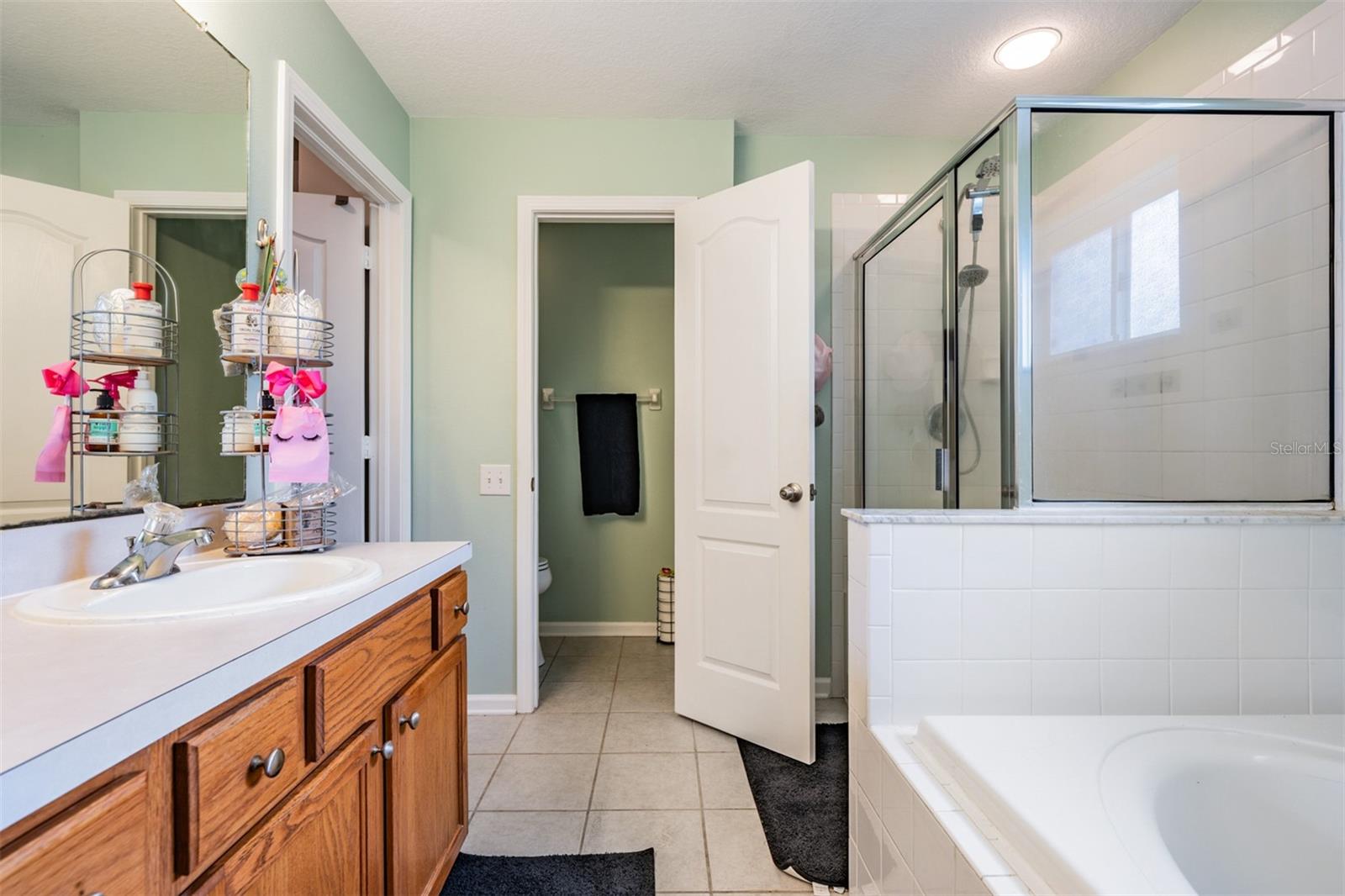 13221 EVENING SUNSET LN, RIVERVIEW, FL, 33579