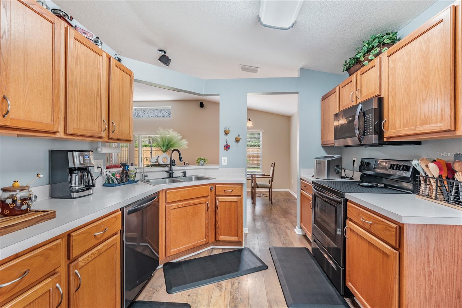 13221 EVENING SUNSET LN, RIVERVIEW, FL, 33579