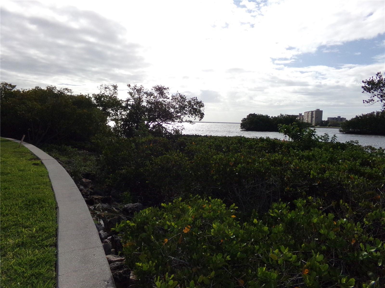 2723 VIA CAPRI #821, CLEARWATER, FL, 33764