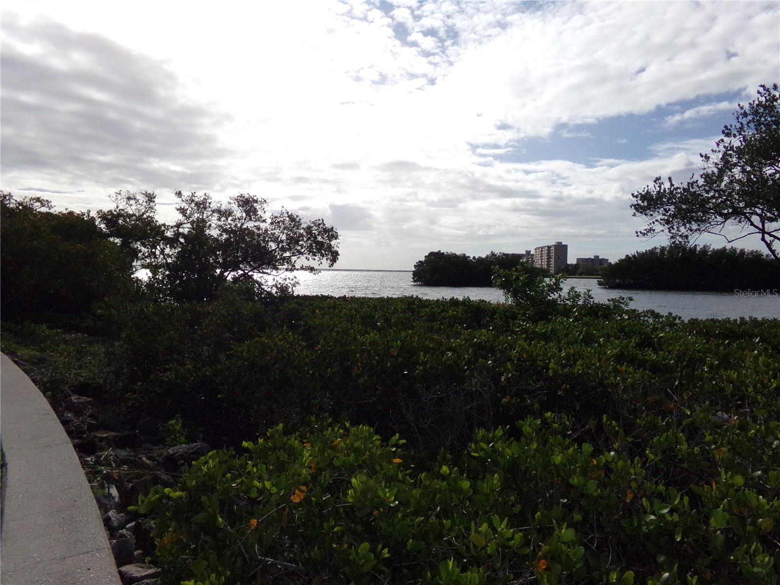 2723 VIA CAPRI #821, CLEARWATER, FL, 33764