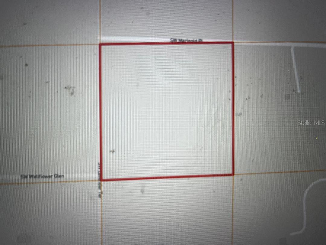 1260 SW MARIGOLD PL, FORT WHITE, FL, 32038