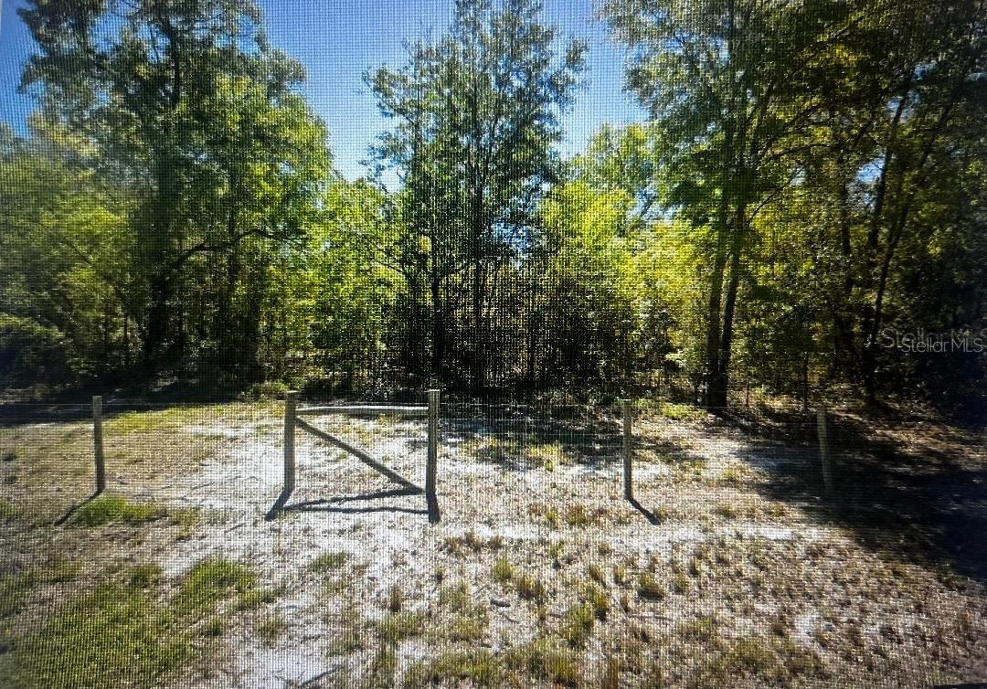 1260 SW MARIGOLD PL, FORT WHITE, FL, 32038