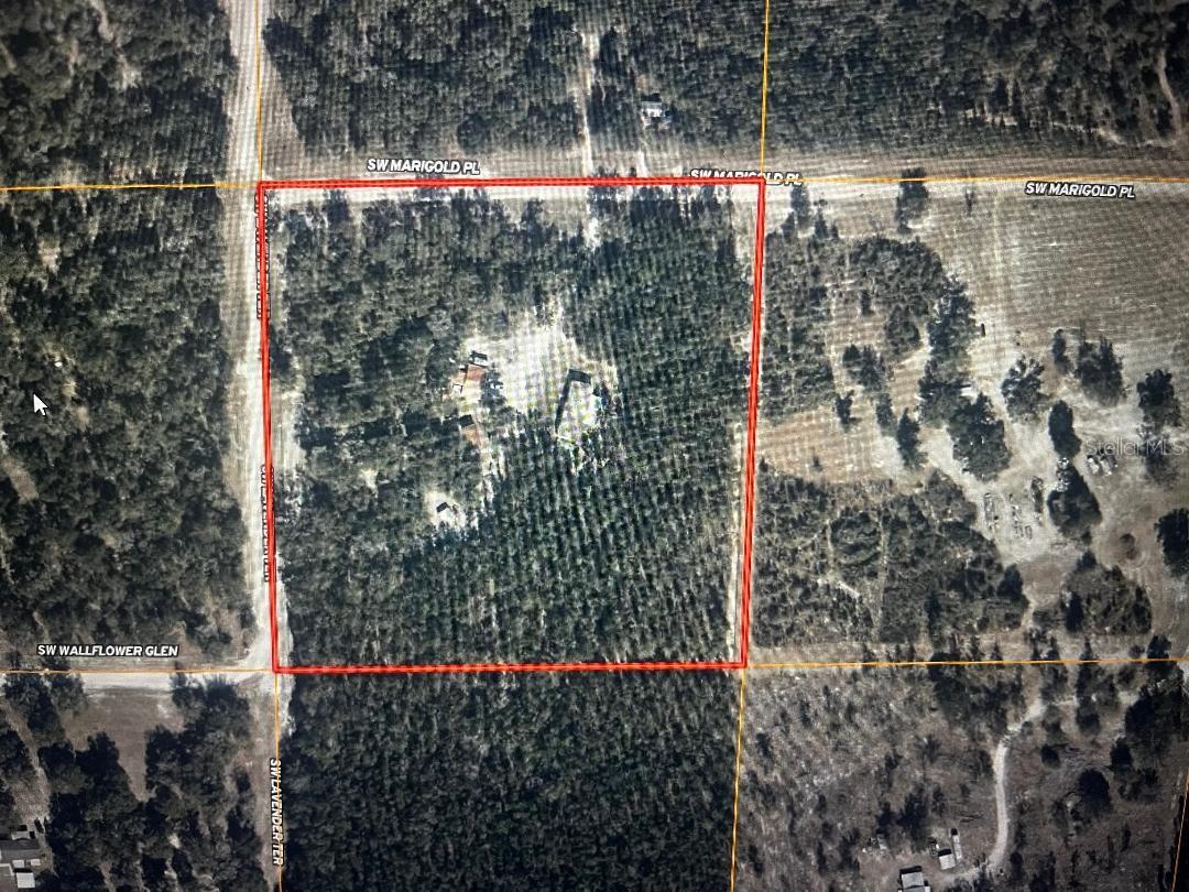 1260 SW MARIGOLD PL, FORT WHITE, FL, 32038