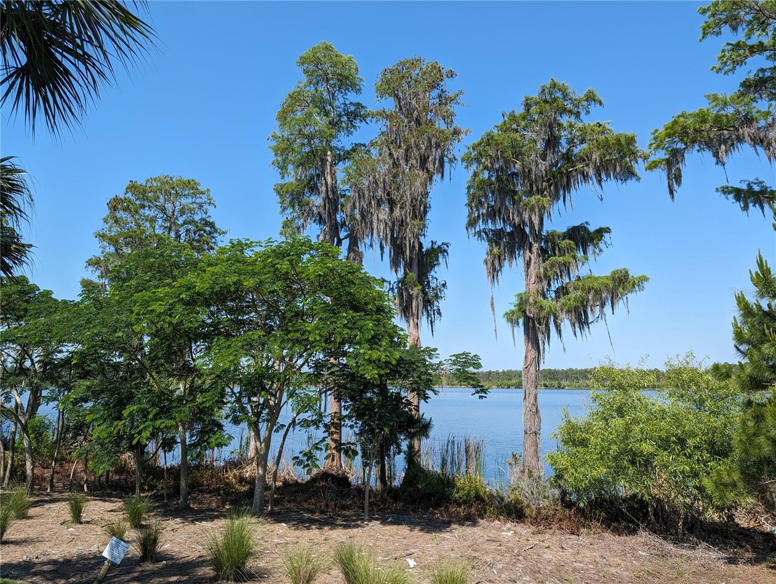 8320 BRYCE CANYON AVE, WINDERMERE, FL, 34786