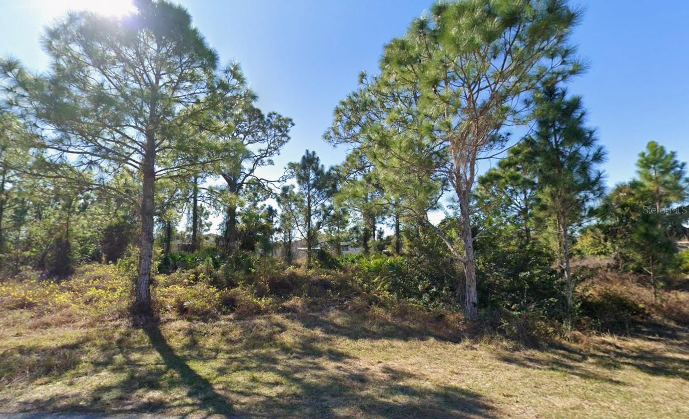 1024 ARBORDALE ST, LEHIGH ACRES, FL, 33974
