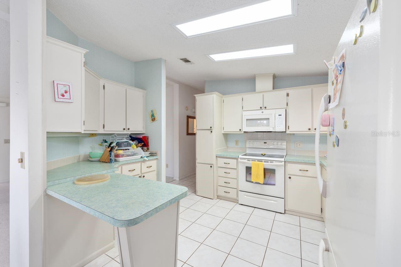 1116 W BOONE CT, LADY LAKE, FL, 32159