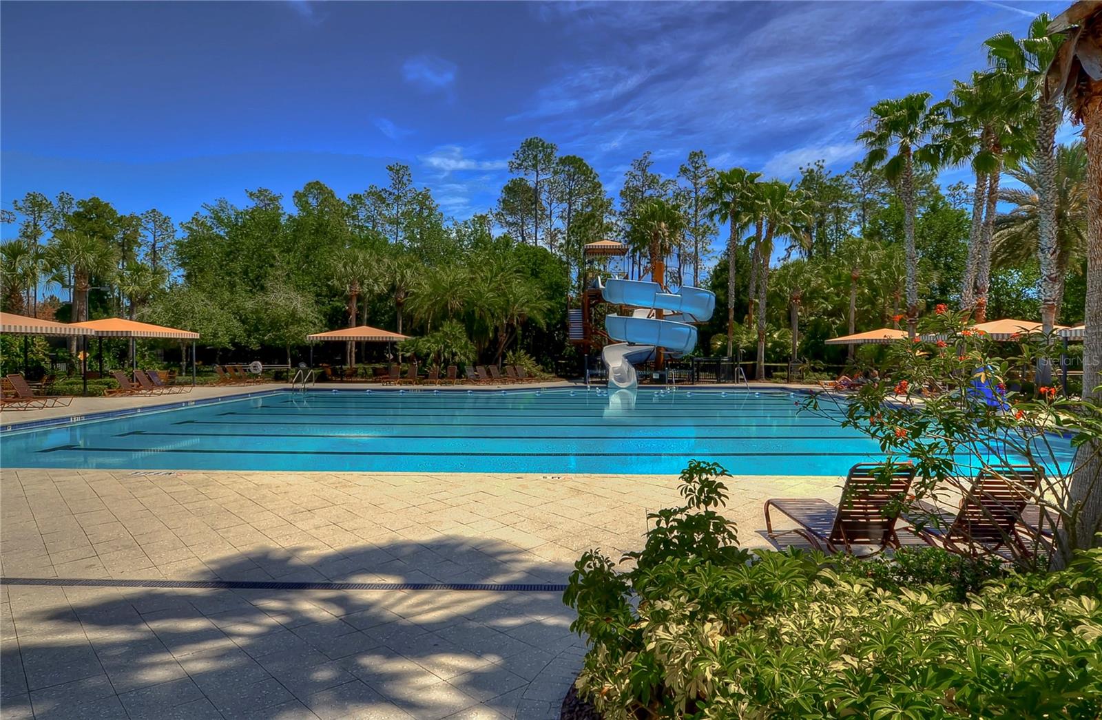 3341 GRASSGLEN PL, WESLEY CHAPEL, FL, 33544