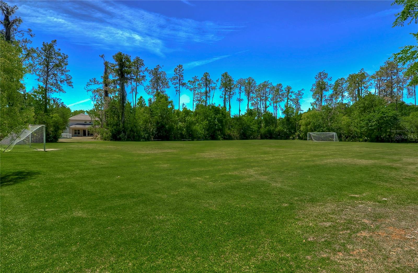 3341 GRASSGLEN PL, WESLEY CHAPEL, FL, 33544