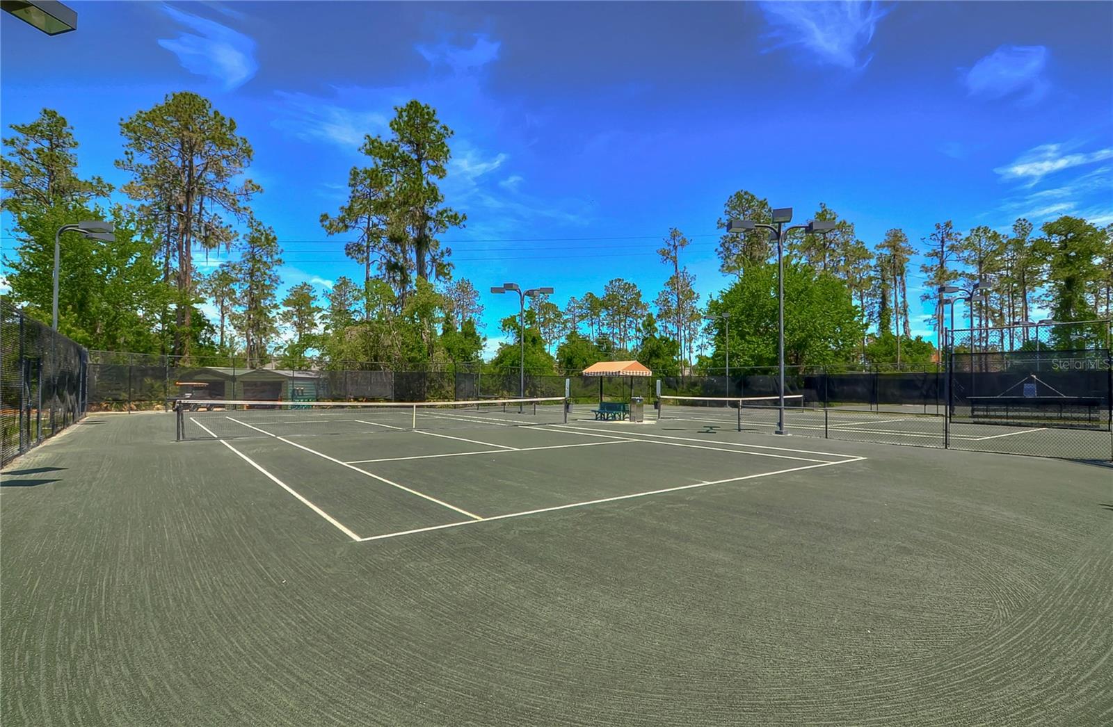 3341 GRASSGLEN PL, WESLEY CHAPEL, FL, 33544