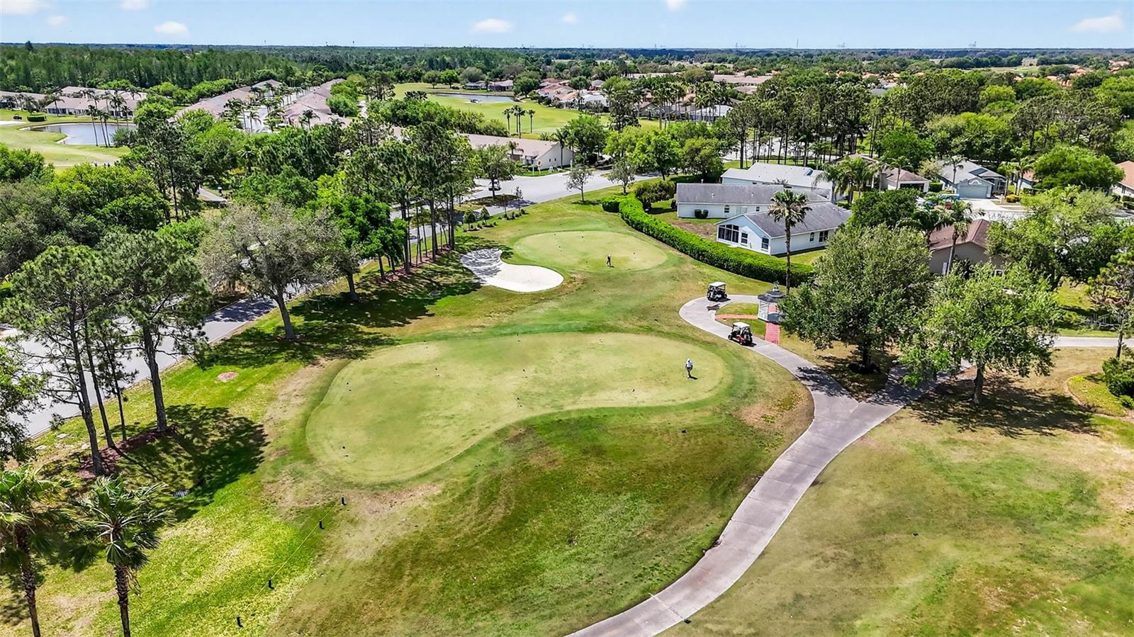 1046 ALMONDWOOD DR, TRINITY, FL, 34655